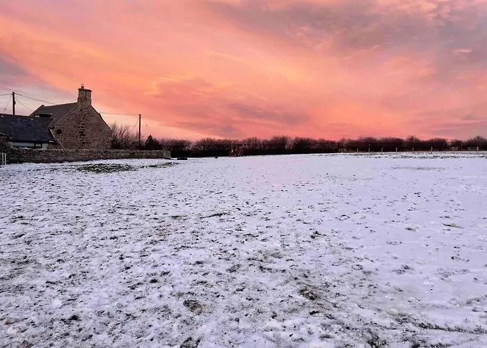 Prior House Farm
